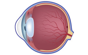 Diabetic Retinopathy Jacksonville | Diabetic Eye Exam | Clay Eye